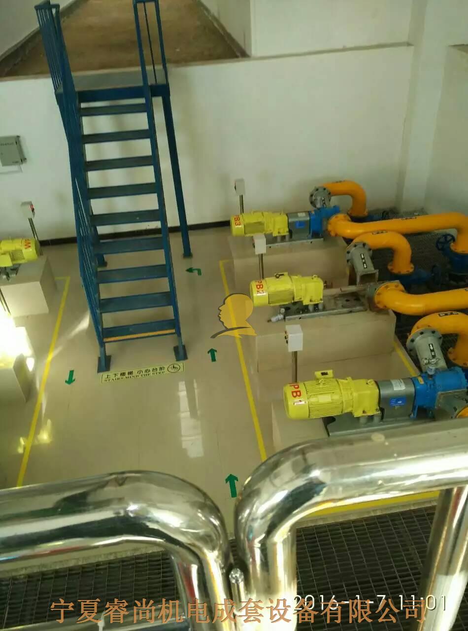 贺兰县污水处理厂泵组安装成功案例3